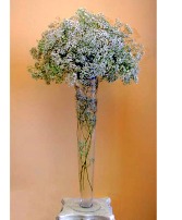 Babys Breath Tall arrangement of Babys Breath
