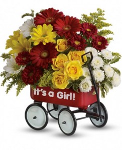 Baby's First Wagon - Girl Keepsake Wagon Arrangement in Warrington, PA | ANGEL ROSE FLORIST INC. Baby's First Wagon - Girl Keepsake Wagon Arrangement in Warrington, PA | ANGEL ROSE FLORIST INC.