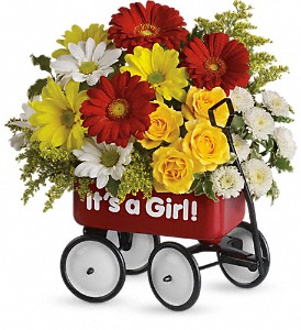 Baby's First Wagon - Girl New Baby Flowers