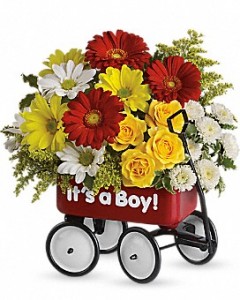 Babys Wow Wagon Baby in Princeton, TX | Princeton Flower and Gift Shop Babys Wow Wagon Baby in Princeton, TX | Princeton Flower and Gift Shop