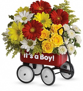 Baby's Wow Wagon Boy or Girl T35-1 