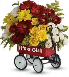 Baby's Wow Wagon Girl Bouquet