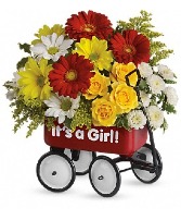 Baby's Wow Wagon- Girl Fresh