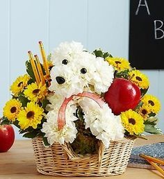 Back to School Pooch Floral Arrangement