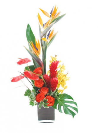 BACK TO THE ISLAND one-side arrangement