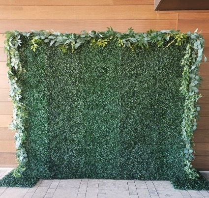 Backdrop - Greenery Wall Call for availability