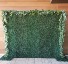 Backdrop - Greenery Wall Call for availability