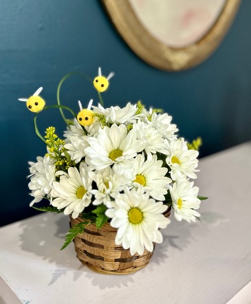 Bae-Bee Daisies  in Mazomanie, WI | B-STYLE FLORAL AND GIFTS
