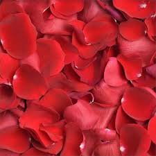BAG OF FRESH ROSE PETALS