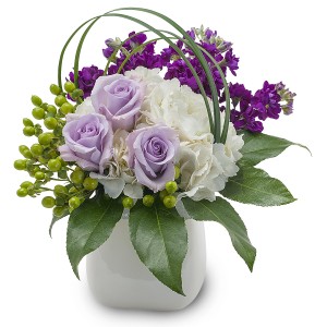 BAILEY Arrangement