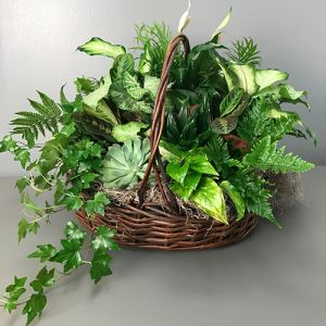 Balance of Nature Garden Basket