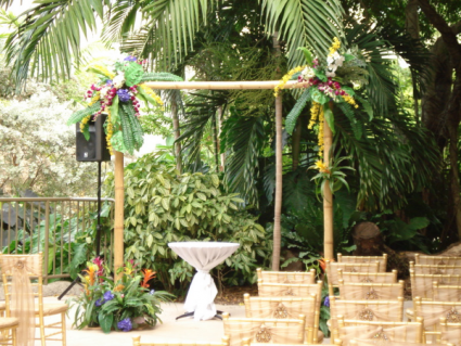 BAMBOO ARCH TROPICAL