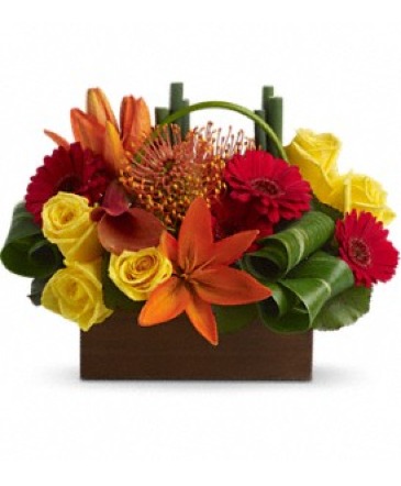 Bamboo Getaway Arrangement in Coral Springs, FL | DARBY'S FLORIST Bamboo Getaway Arrangement in Coral Springs, FL | DARBY'S FLORIST