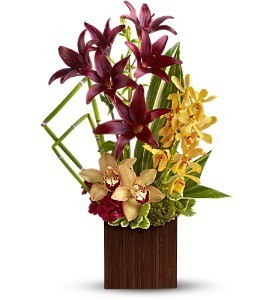  Bamboo Oasis   in Fort Lauderdale, FL | ENCHANTMENT FLORIST