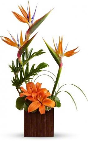 Bamboo Paradise Flowers Birthday for everyone in Burbank, CA | MY BELLA FLOWER Bamboo Paradise Flowers Birthday for everyone in Burbank, CA | MY BELLA FLOWER