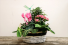 Basket Indoor Planter