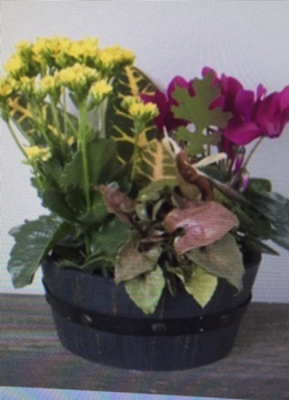 BARREL OF FALL mixed planter