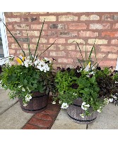 ONE Barrel Patio Planters 
