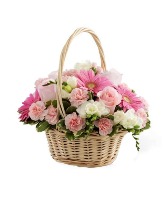 Pink Harmony  