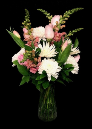 Bashful Pink & White
