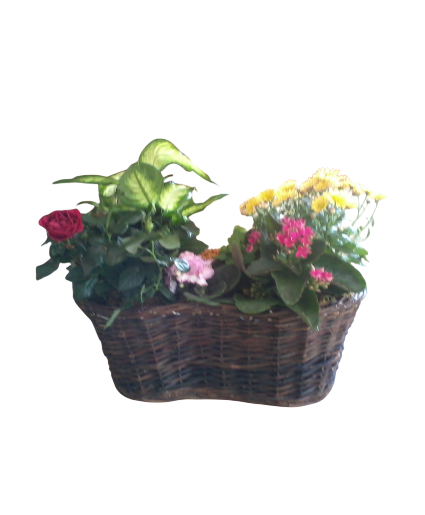 Basket Floral Arrangement 