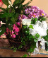 Basket Floral Arrangement Basket Arrangement 