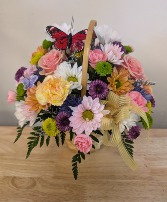 Basket full of daisies  apache junction mesa 