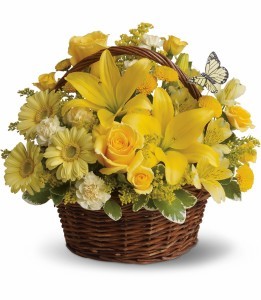 Basket Full of Wishes H272
