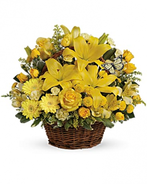 basket full of wishes fall/ anytime