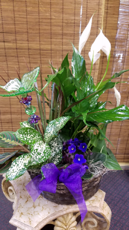 Basket Garden
