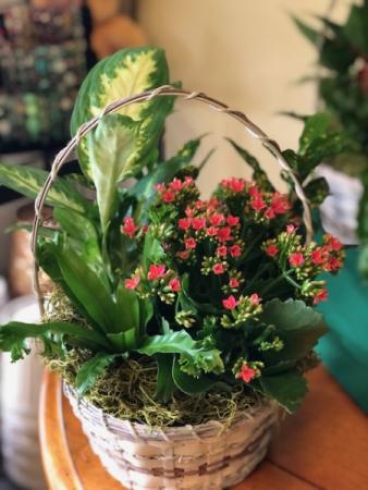 Basket garden  in Livermore, CA | KNODT'S FLOWERS