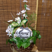 Basket Garden of Grace 