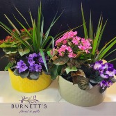 Ceramic Dish Garden Planter
