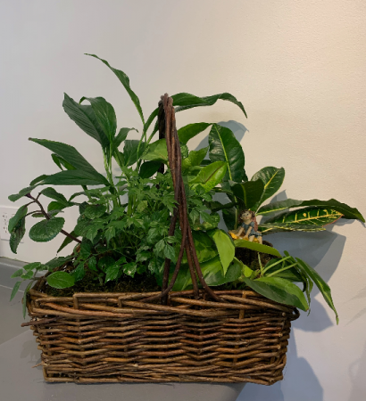 Basket garden with fairy planter