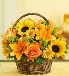 Basket of Autumn Fields