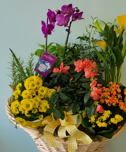 Basket of Blooms 
