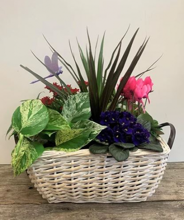 Basket of Blooms Planter