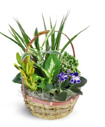 Basket of Blooms Planter 
