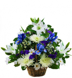 Category Image