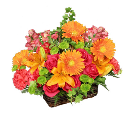 Basket of Bright Blooms basket arrangement