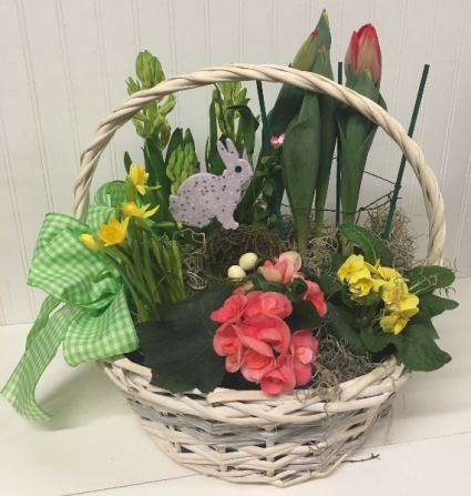 Basket of Bulbs and Plants