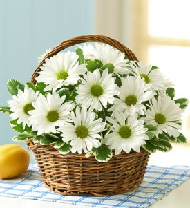 Basket of Cheer Basket