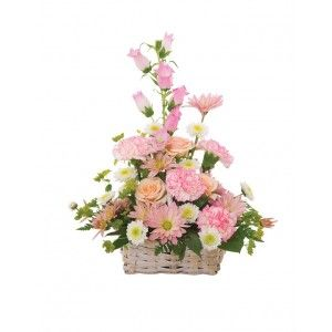 BASKET OF CHEER BASKET