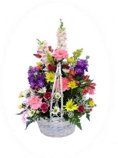BASKET OF CHEER Basket Arrangement