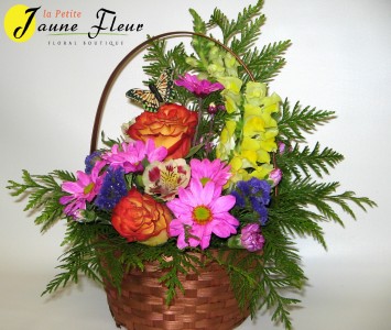 Gen-Basket of Color
