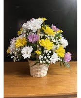 Basket of Daisies Fresh flowers