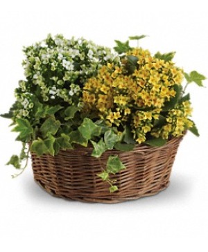 Basket of Joy 