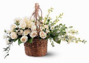 Basket of light FSN-8