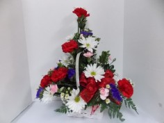 Category Image