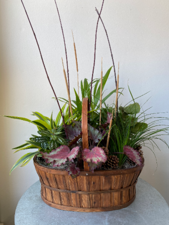 Basket of Lush Tropicals